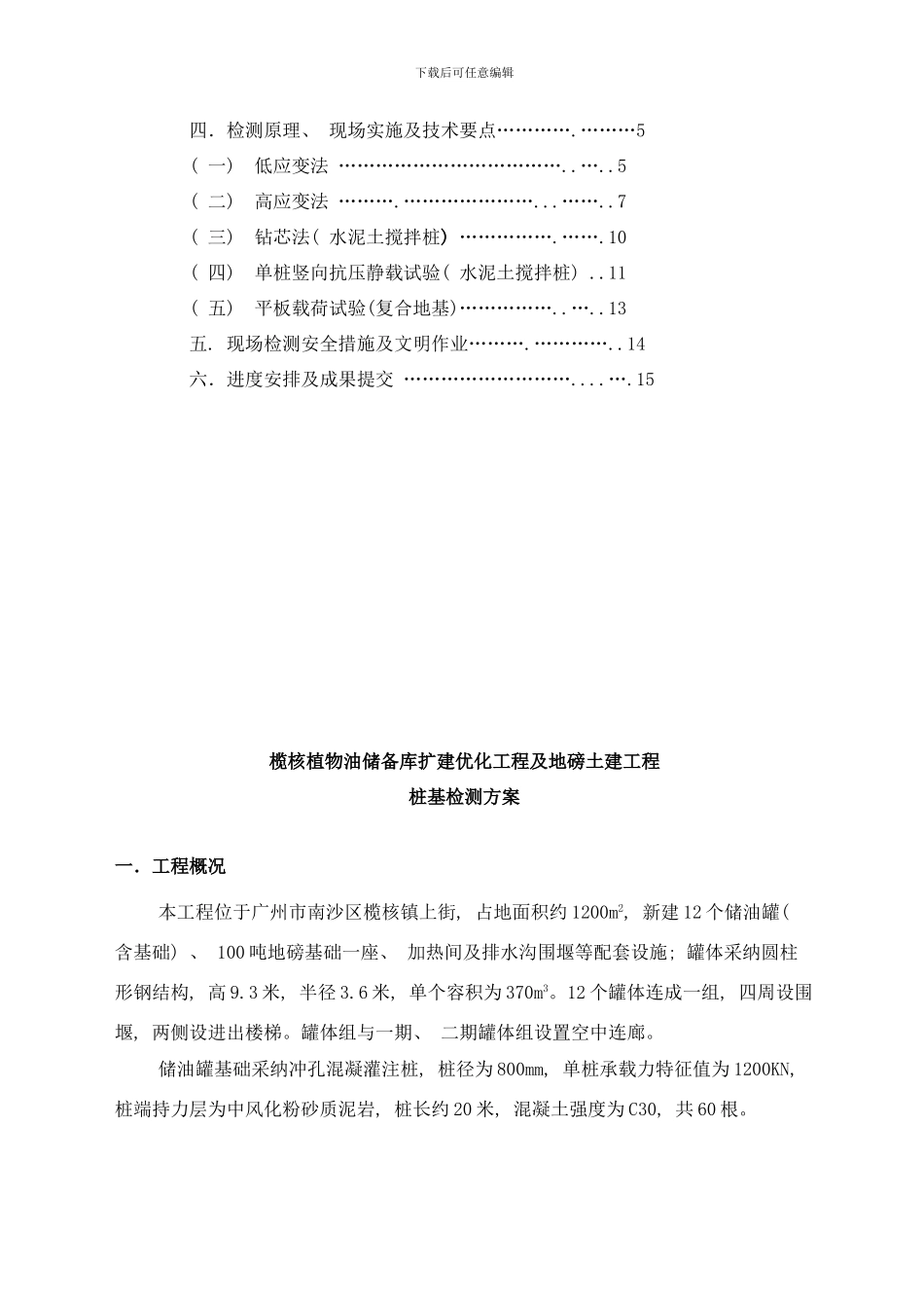 榄核植物油桩基础检测方案样本_第2页