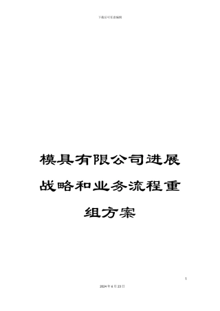 模具有限公司发展战略和业务流程重组方案