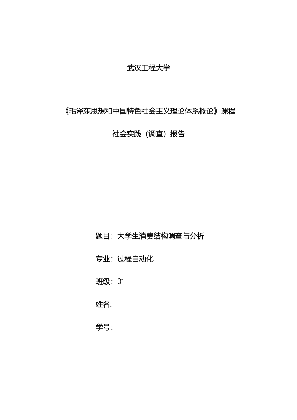 毛概社会实践调查报告范文_第2页