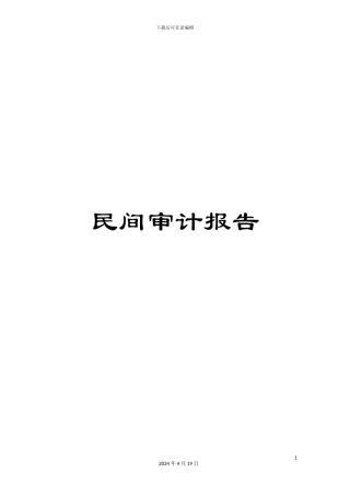 民间审计报告