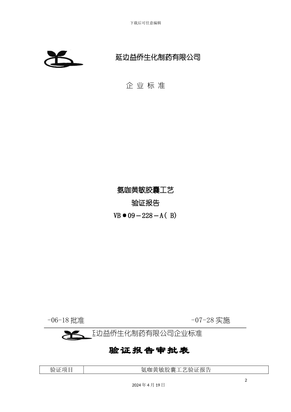 氨咖黄敏胶囊工艺验证报告模板_第2页