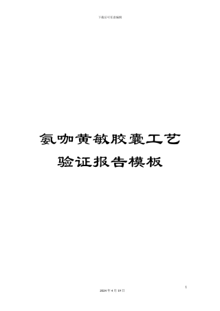 氨咖黄敏胶囊工艺验证报告模板