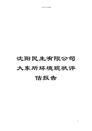 沈阳民生有限公司大东所环境现状评估报告模板