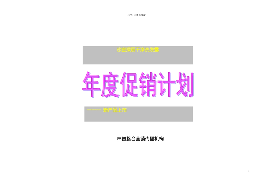 沙宣深层洁净洗发露上市策划方案模板_第2页