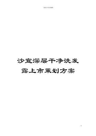 沙宣深层洁净洗发露上市策划方案模板