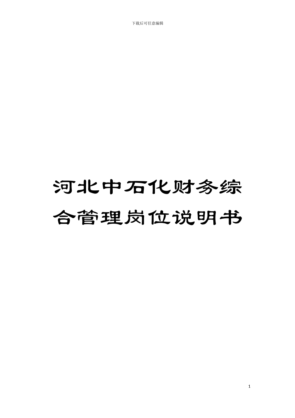 河北中石化财务综合管理岗位说明书模板_第1页