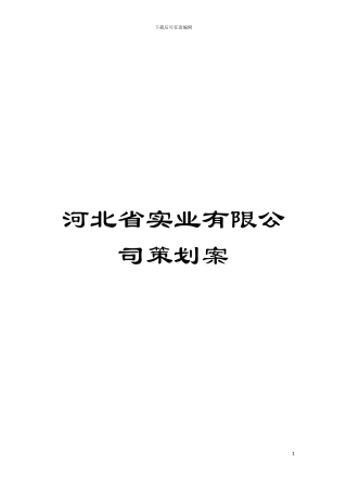 河北省实业有限公司策划案模板