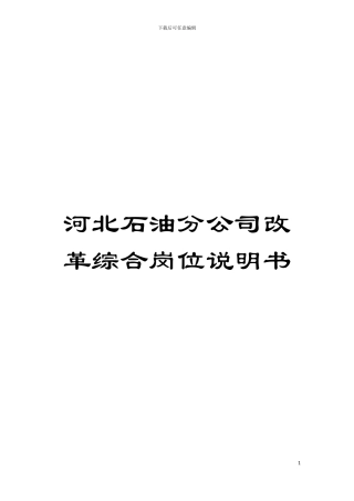 河北石油分公司改革综合岗位说明书模板
