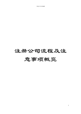 注册公司流程及注意事项概览模板