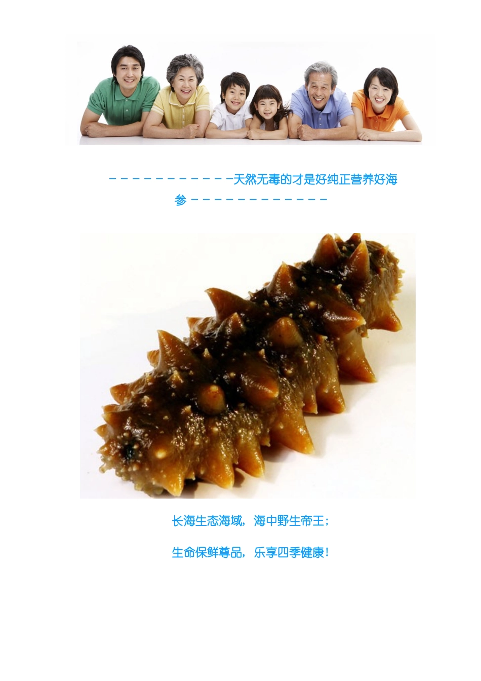 海参说明书详细版样本_第1页