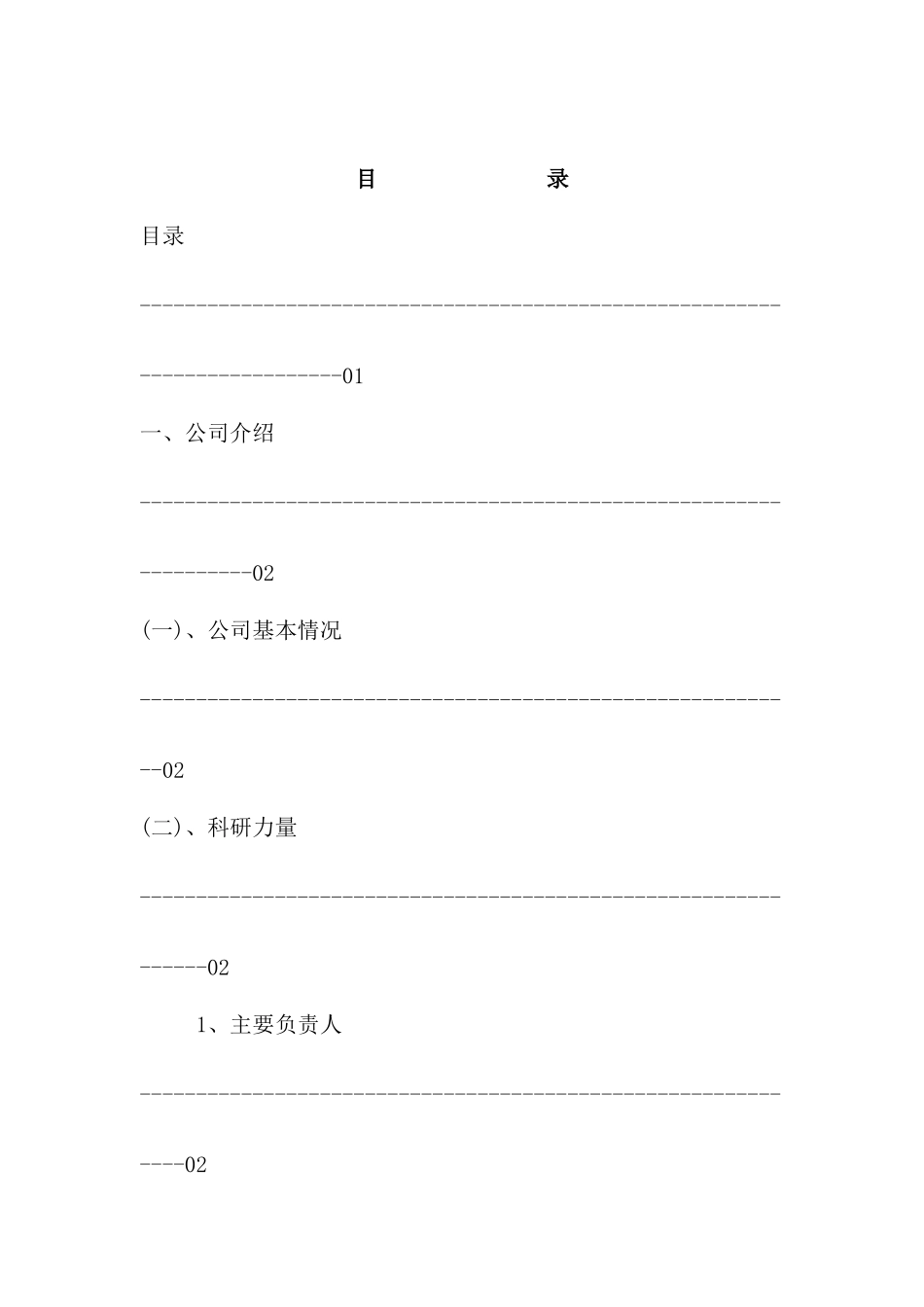 深圳网络系统公司商业计划书_第2页