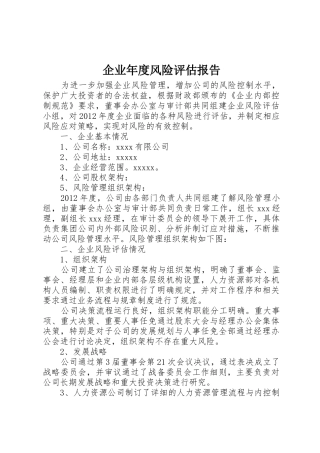 企业年度风险评估报告
