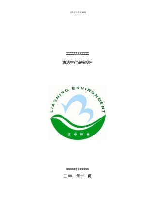 清洁生产审核报告