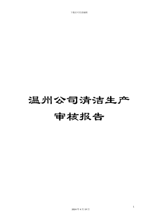 温州公司清洁生产审核报告