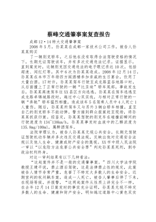 蔡峰交通肇事案复查报告