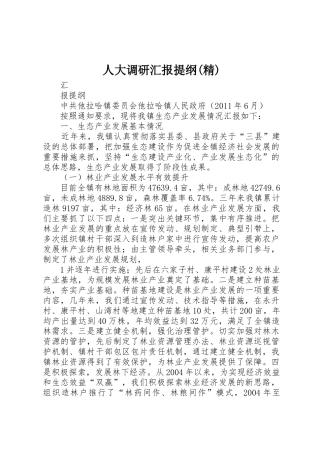 人大调研汇报提纲(精)