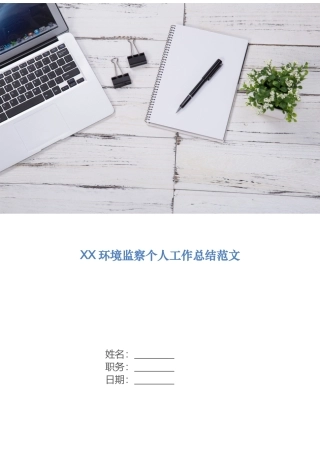 环境监察个人工作总结范文