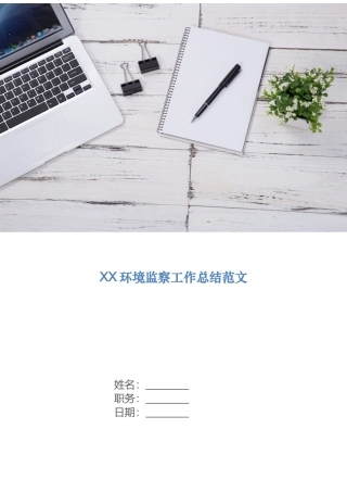 环境监察工作总结范文