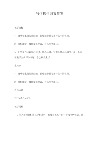 写作抓住细节教案