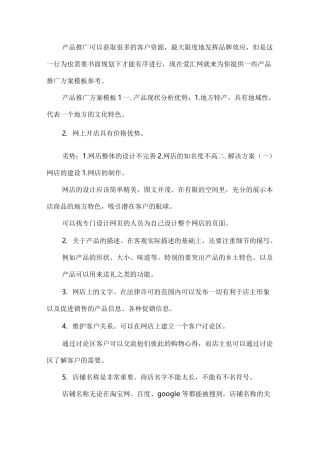 产品推广方案模板范例展示