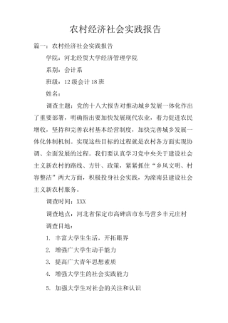 农村经济社会实践报告