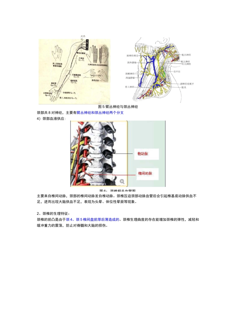 颈椎病内容整理(多图)_第3页