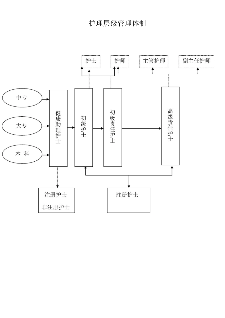 护理管理组织架构_第1页