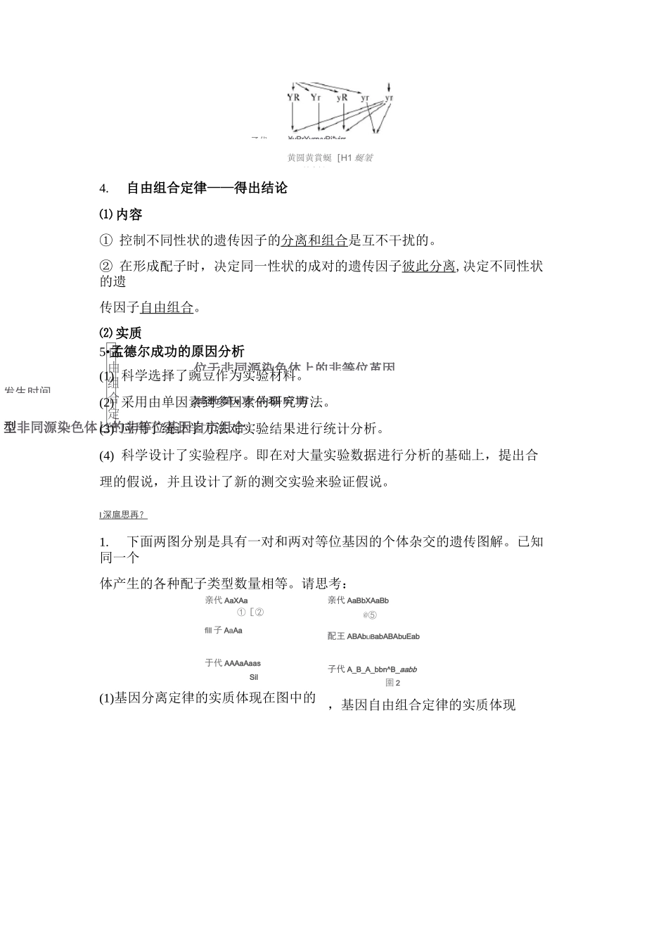 基因的自由组合定律_第2页