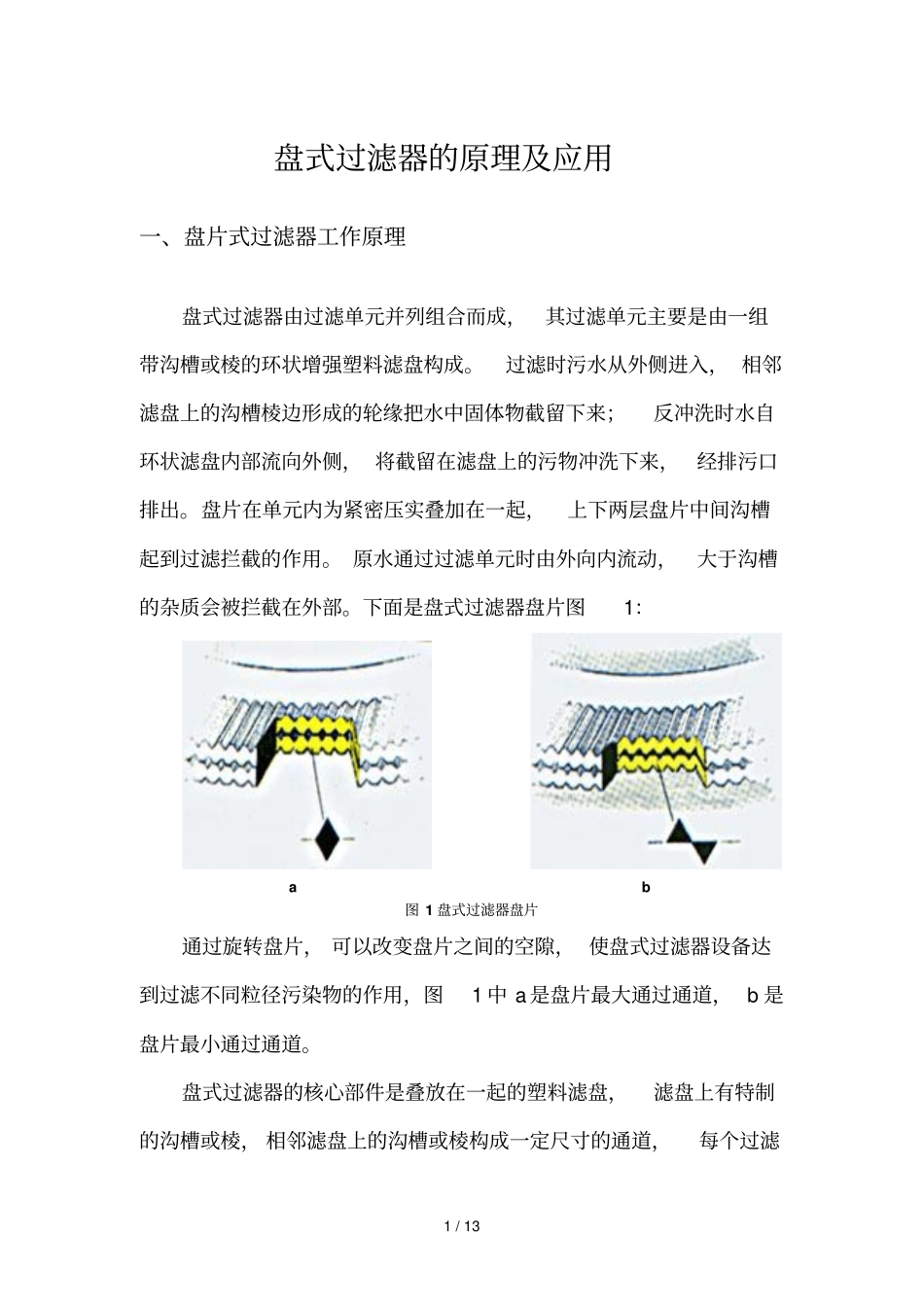 盘式过滤器原理及应用_第1页
