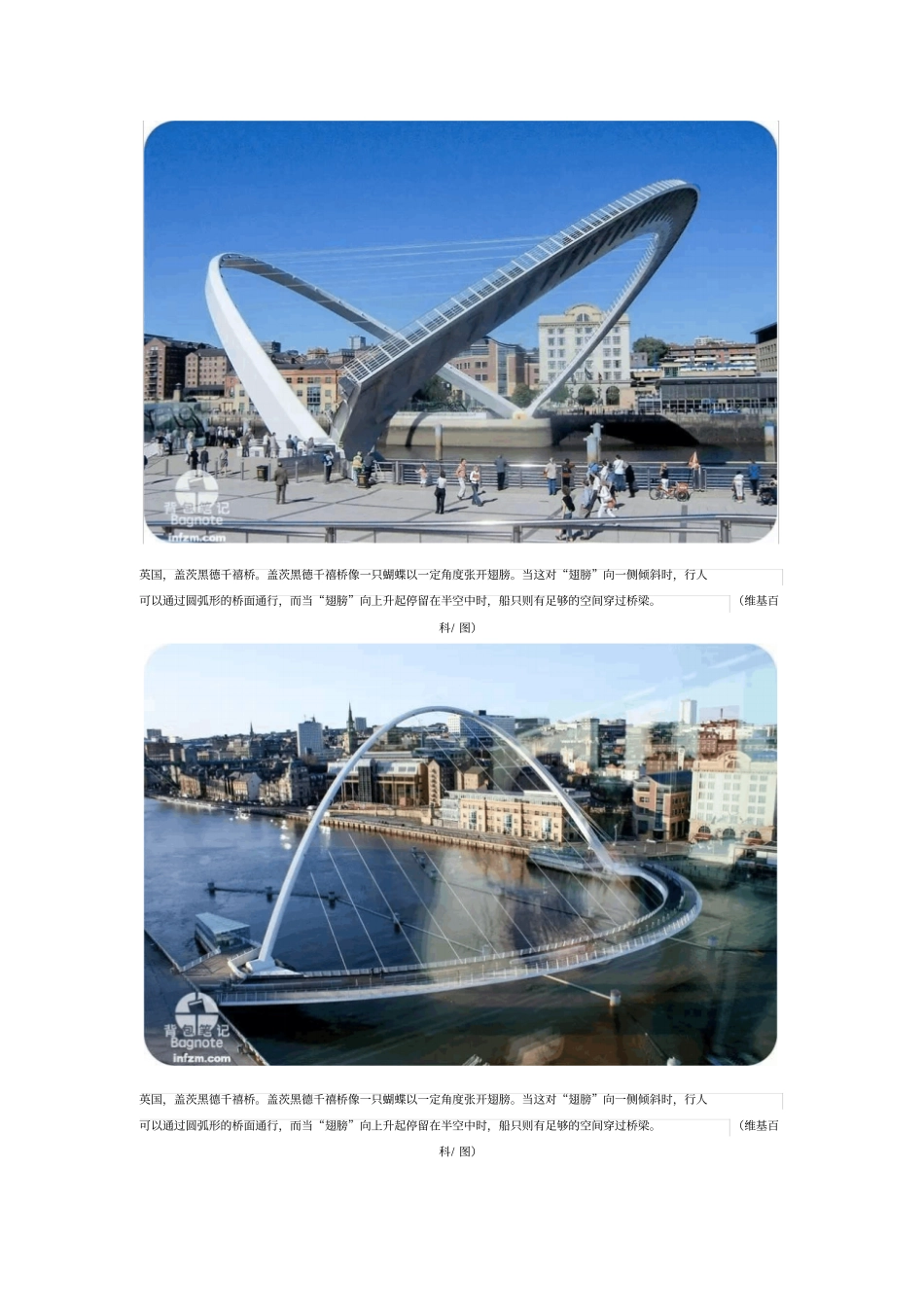 盘点世界各地奇葩的桥梁讲解_第2页