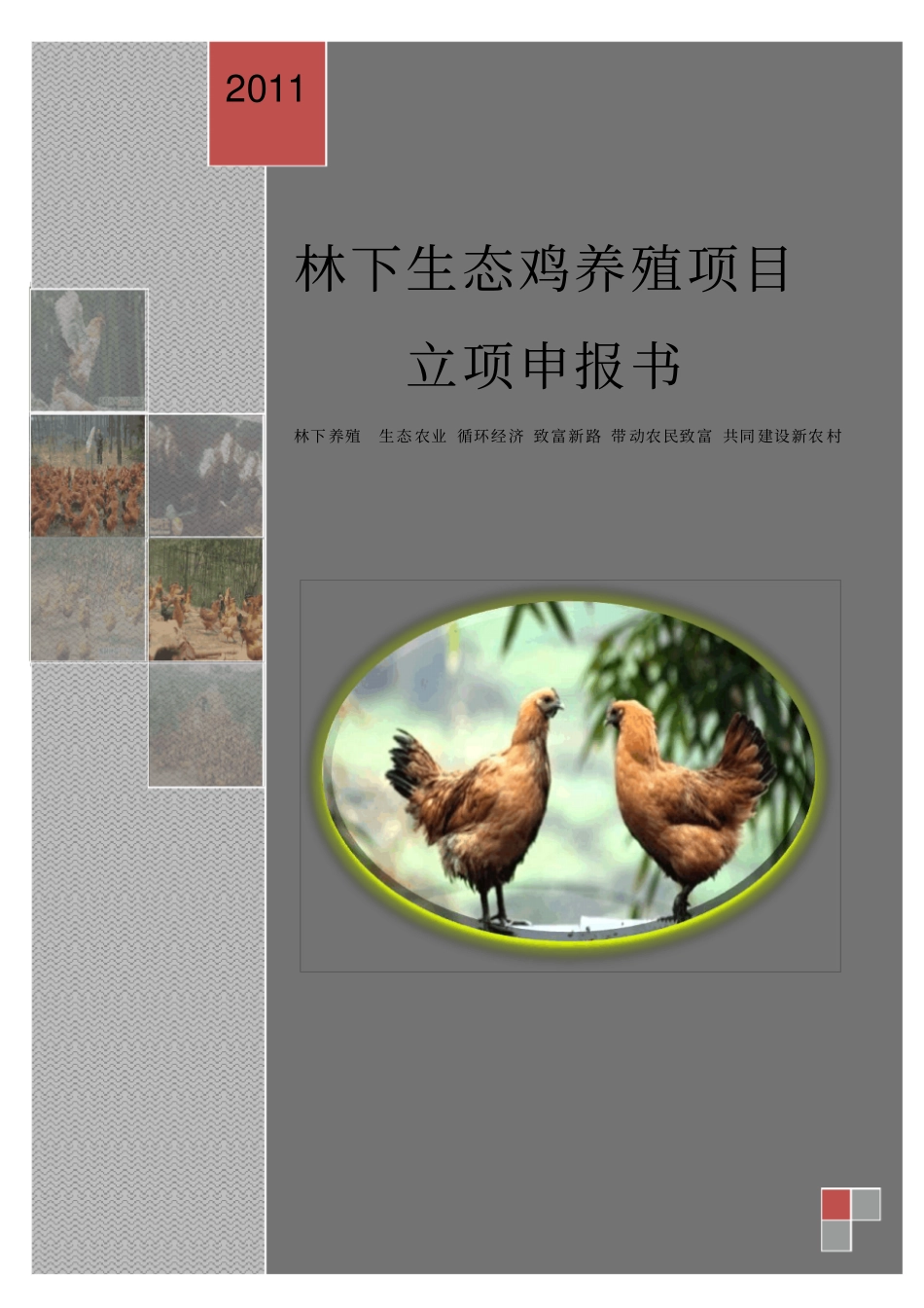 盛奥林下生态鸡养殖项建议书_第1页