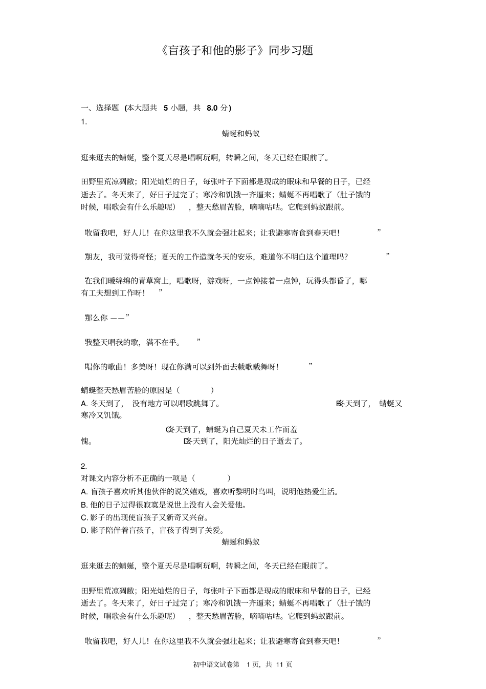 盲孩子和他的影子同步习题含标准答案_第1页