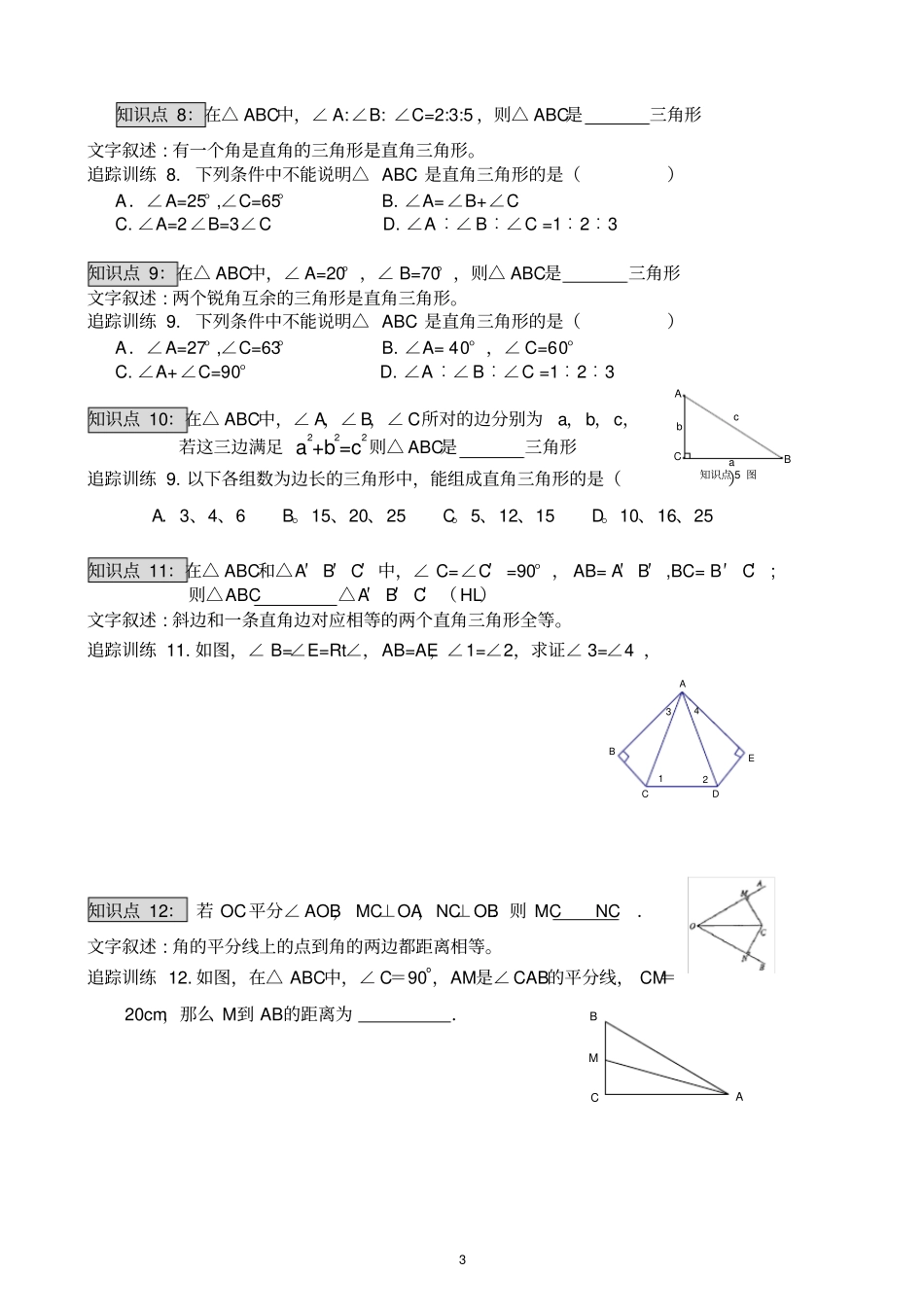 直角三角形复习专题_第3页