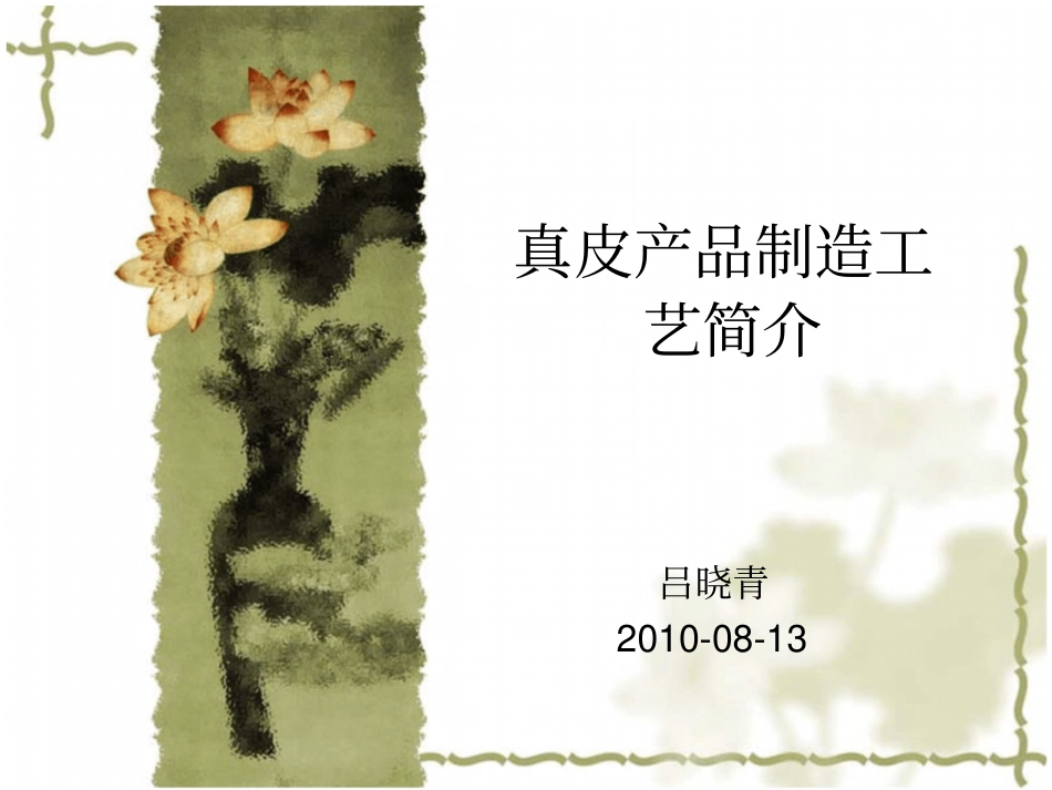 真皮基础知识20100813_第1页