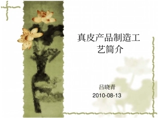 真皮基础知识20100813