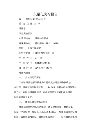 矢量化实习报告