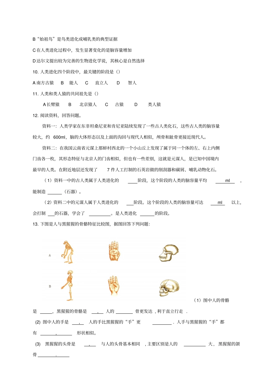 知识点汇总及复习题人类的起源和进化_第3页