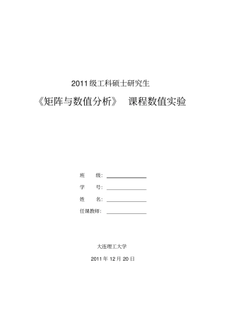 矩阵与数值分析课程数值试验大作业解析