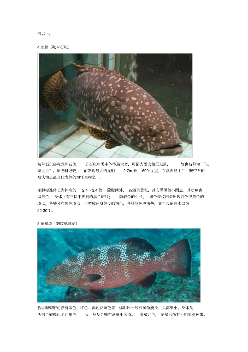 石斑鱼权威介绍资料_第3页
