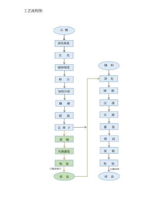 石榴汁和饮料工艺设备