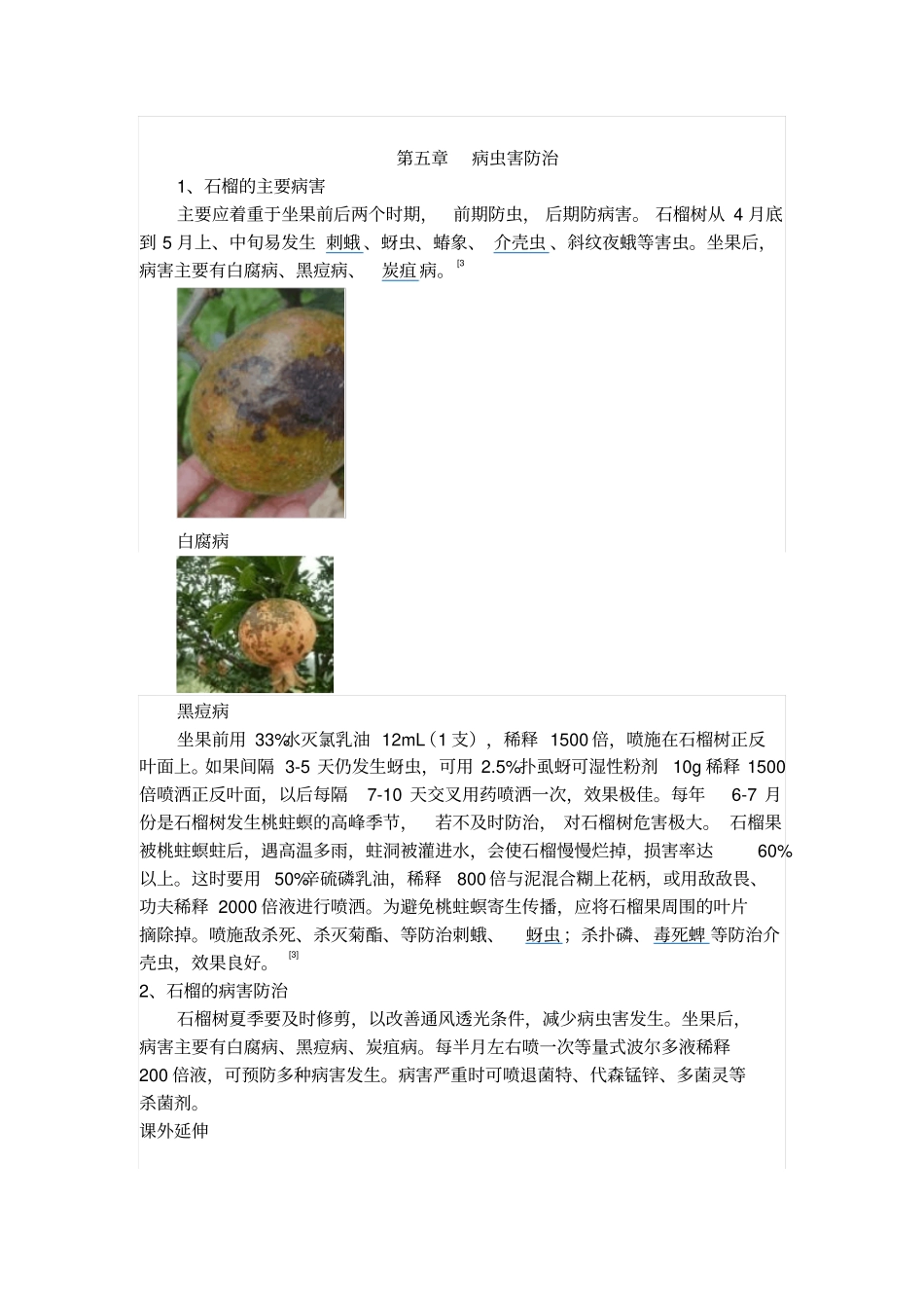 石榴的校本教材汇总_第1页