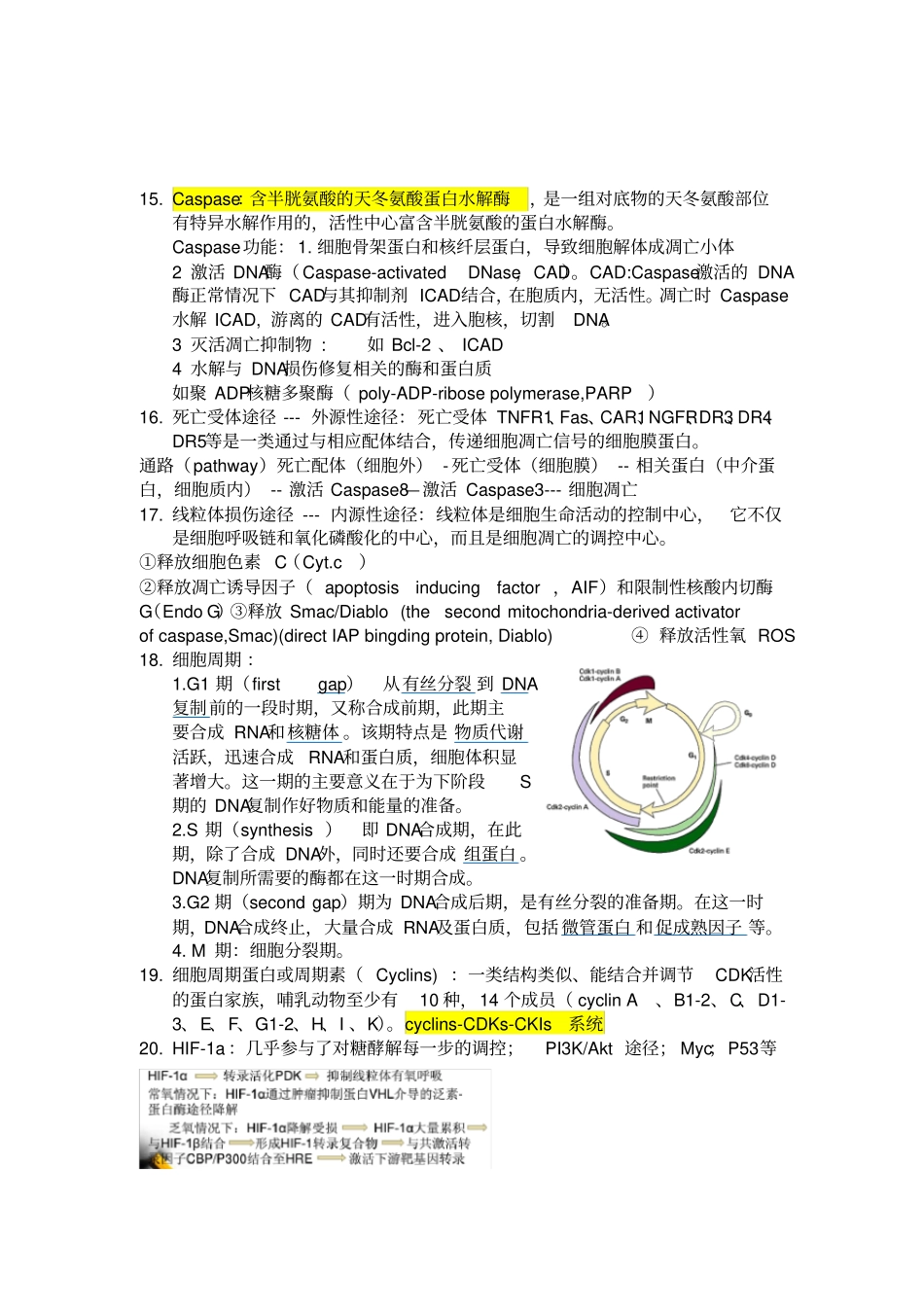 研究生分子生物学知识点_第3页