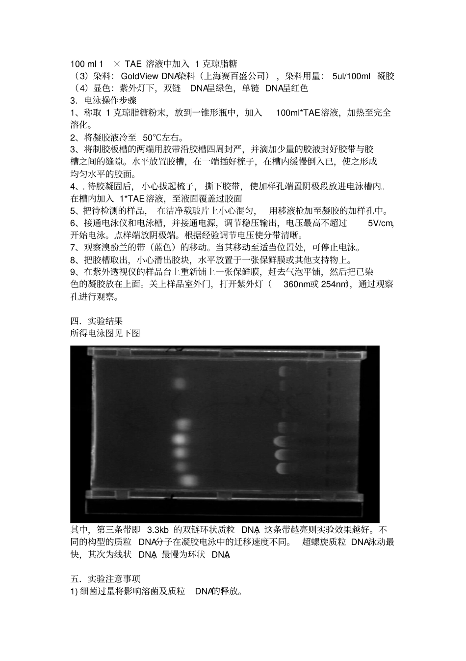 碱裂法小规模提取质粒DNA及琼脂糖凝胶电泳_第3页