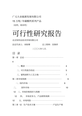 碳酸钙可行性报告书