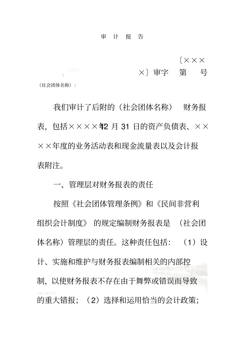 社会团体财务审计报告_第2页