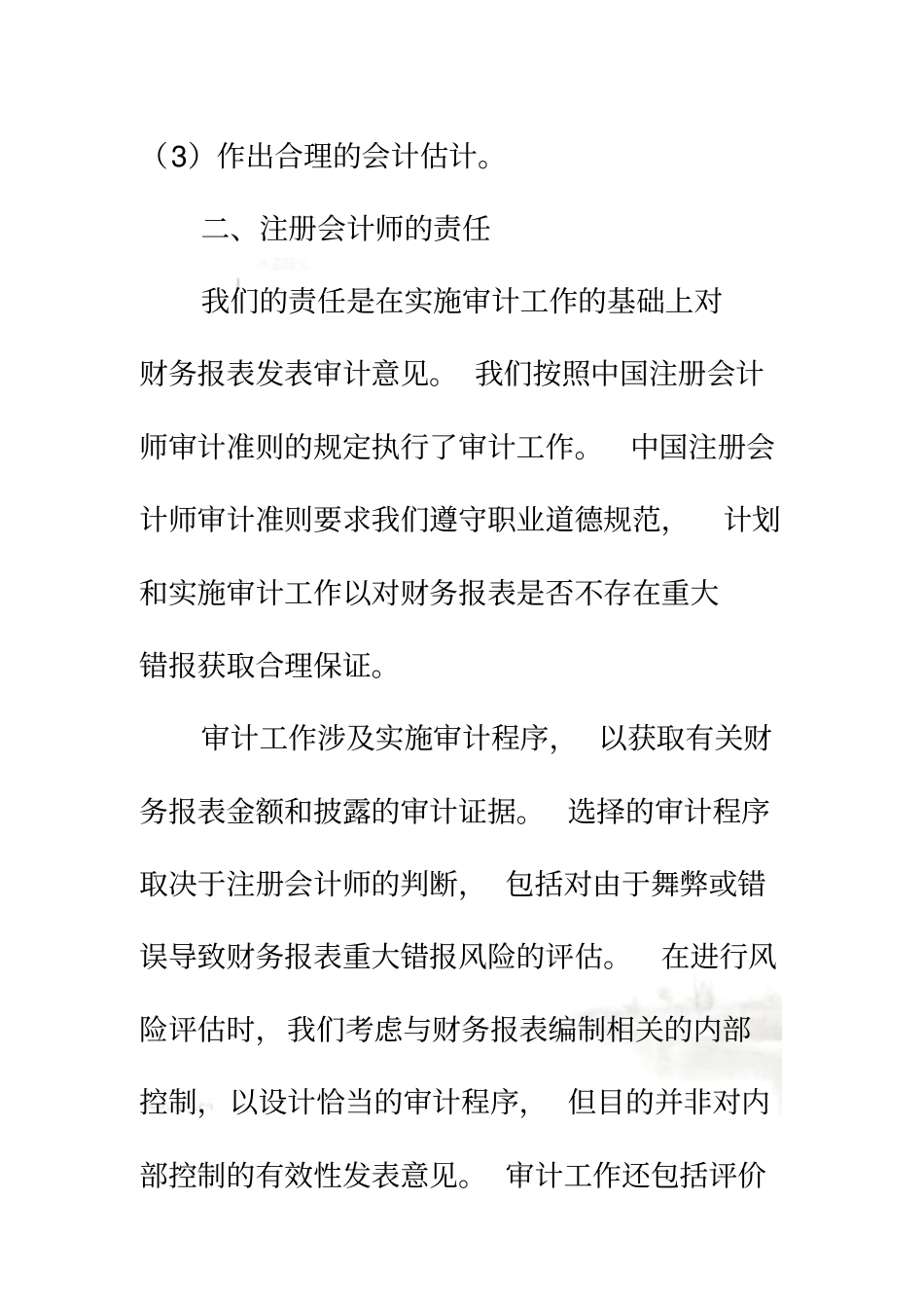 社会团体财务审计报告_第3页