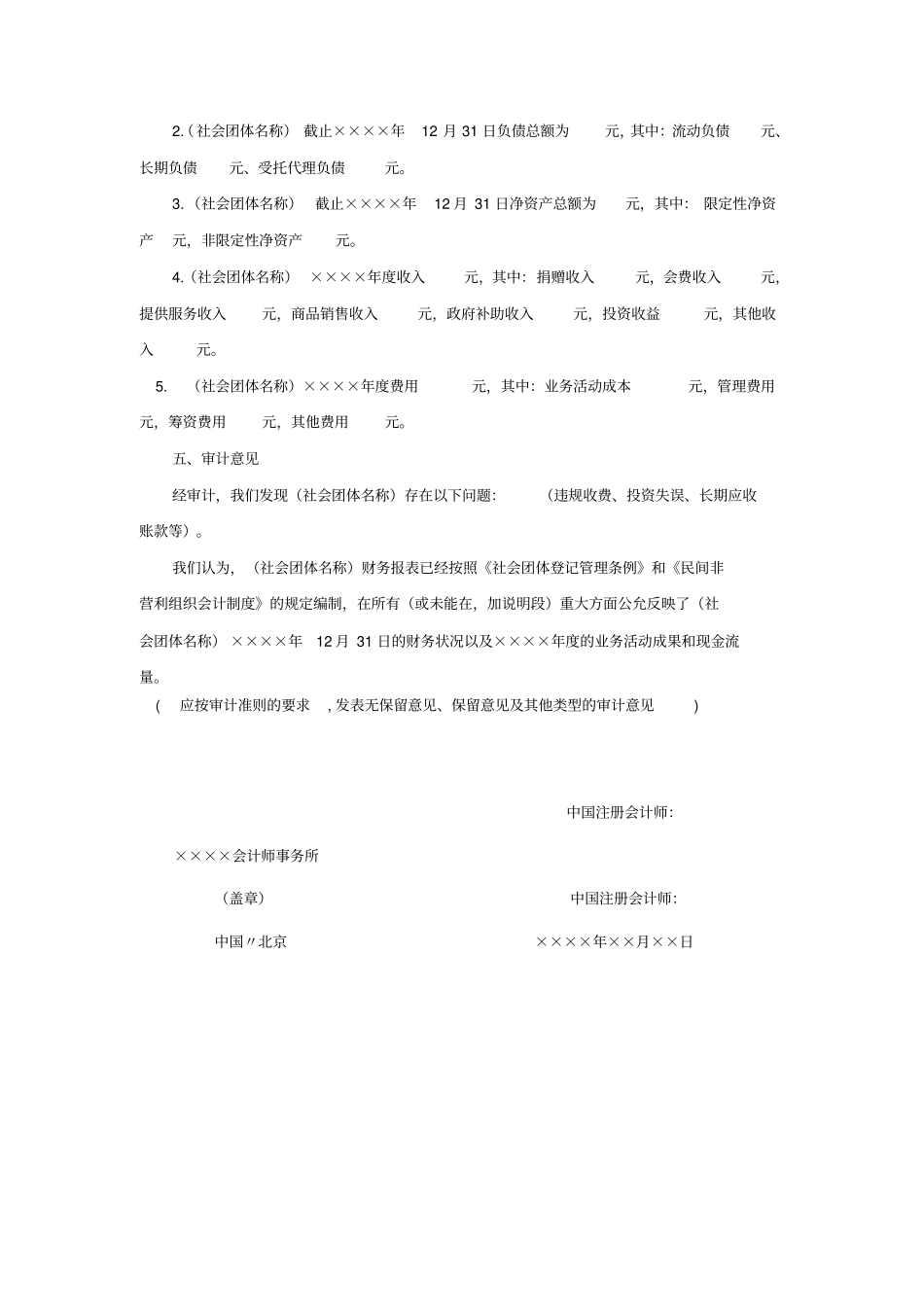 社会团体财务审计报告模板_第3页