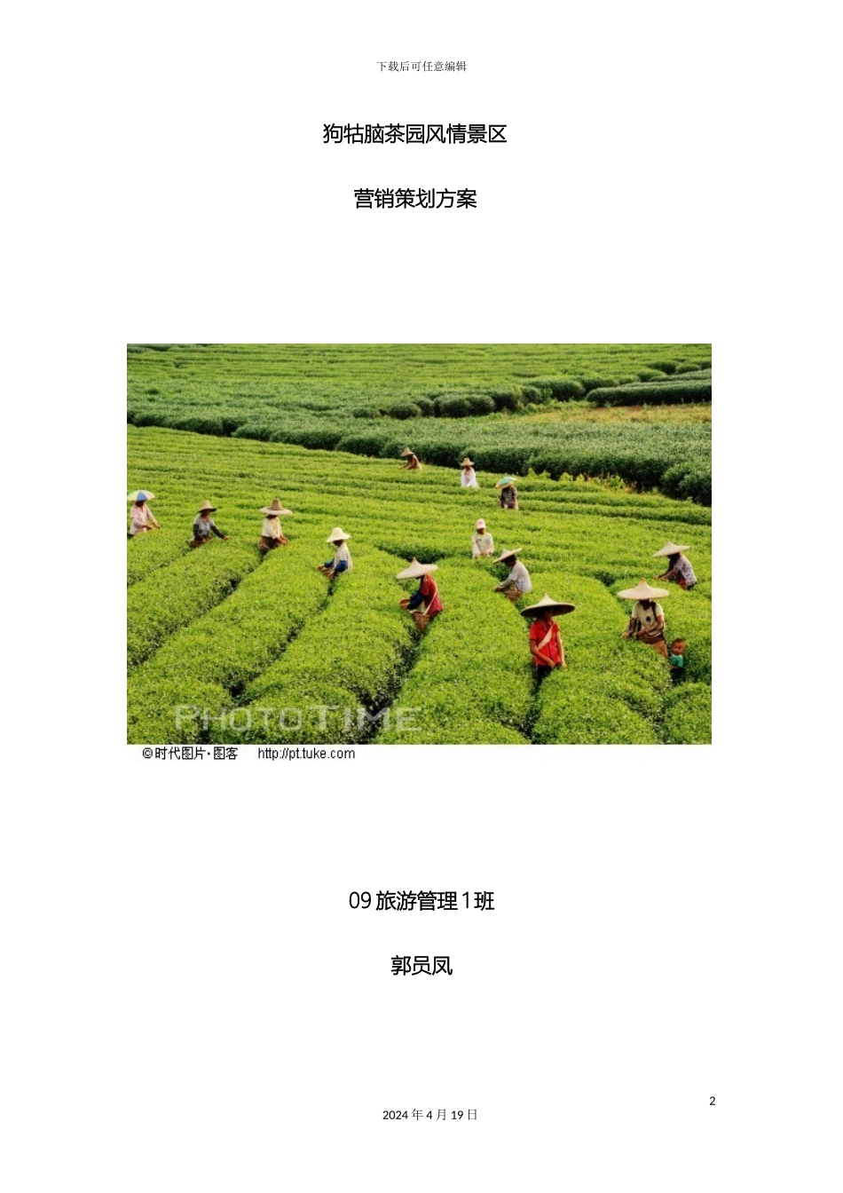 狗牯脑茶园风情景区营销策划方案范本_第2页