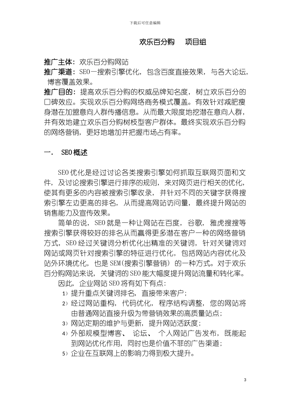 狼道贸易网站优化方案模板_第3页