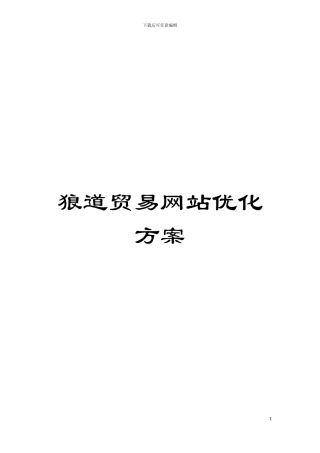 狼道贸易网站优化方案模板